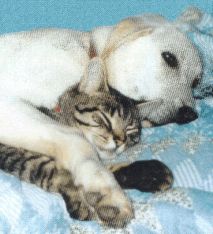Bobby & Luna